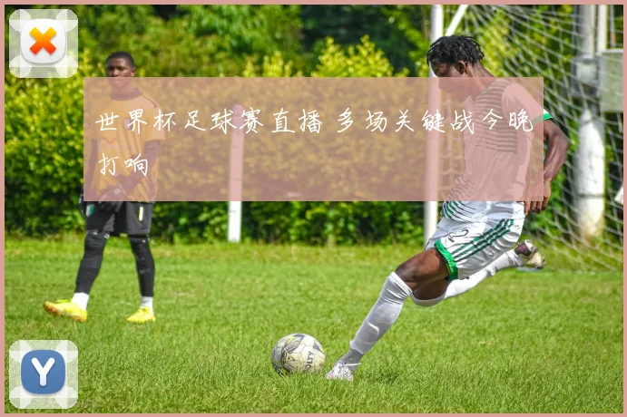 世界杯足球赛直播 多场关键战今晚打响