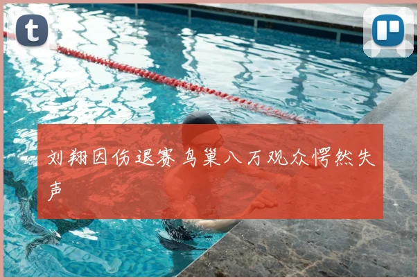 刘翔因伤退赛鸟巢八万观众愕然失声