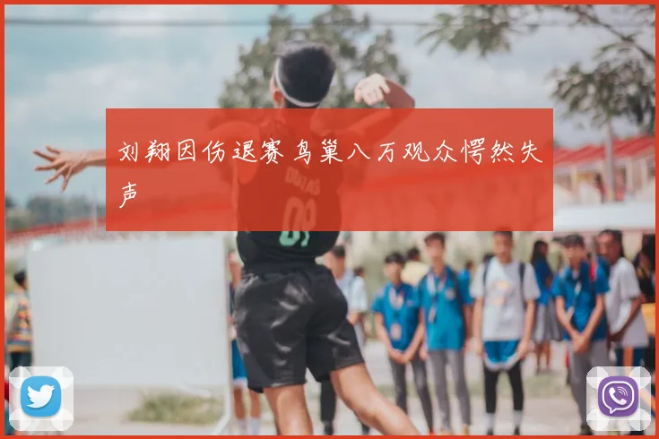 刘翔因伤退赛鸟巢八万观众愕然失声