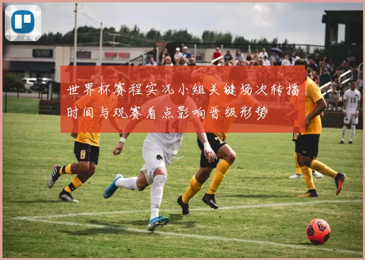 世界杯赛程实况小组关键场次转播时间与观赛看点影响晋级形势
